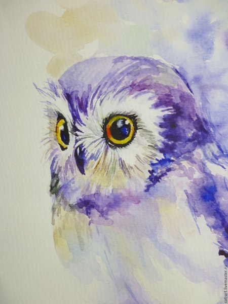 Алмазная мозаика 20х20 влюбленная Совушка