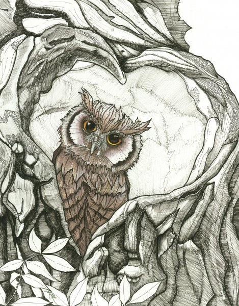 Сова акварелью
