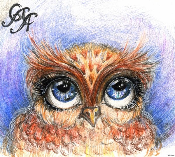 Мистер Филин