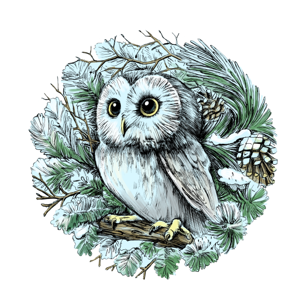 Красивая Совушка