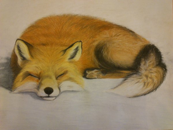 Арт лиса пастелью