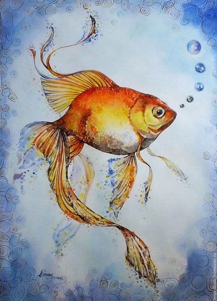 Золотая рыбка Феникс ситцевая