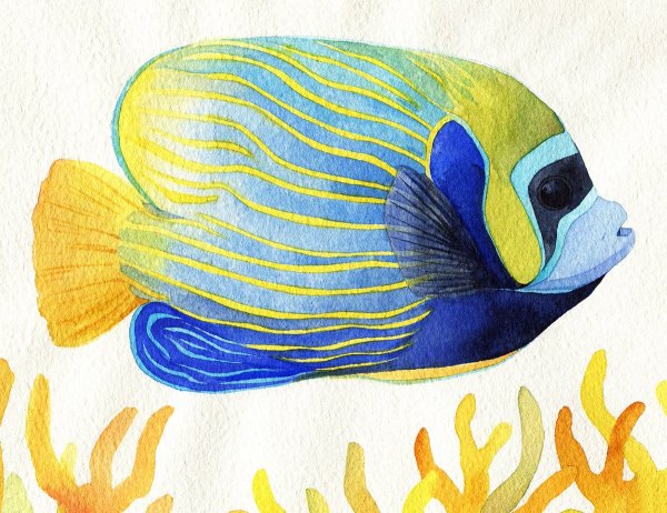 Рисование 1 класс красивые рыбы