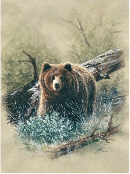 Татьяна Данчурова хозяин тайги