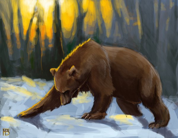 Медведь рисунок