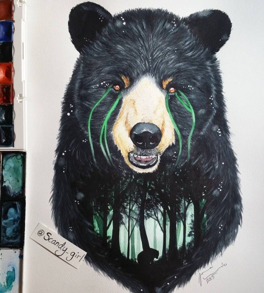 Морда медведя арт