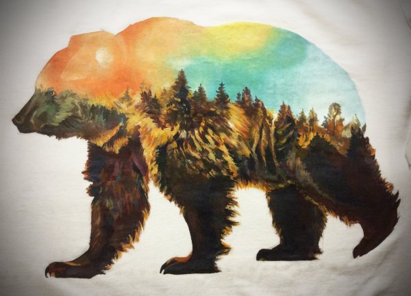 Медведь красками