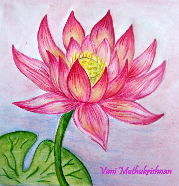 Цветы акварельными карандашами