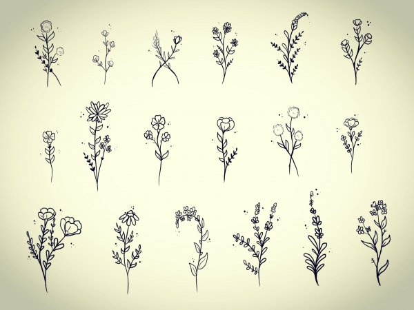 Рисование цветов