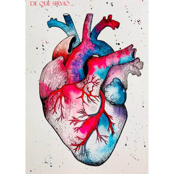 Красивая анатомия