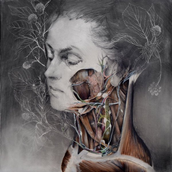 Орган рисунок