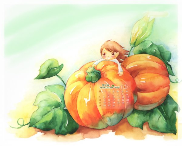 Иллюстрации тыквы осень