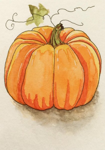 Тыква скетч акварелью
