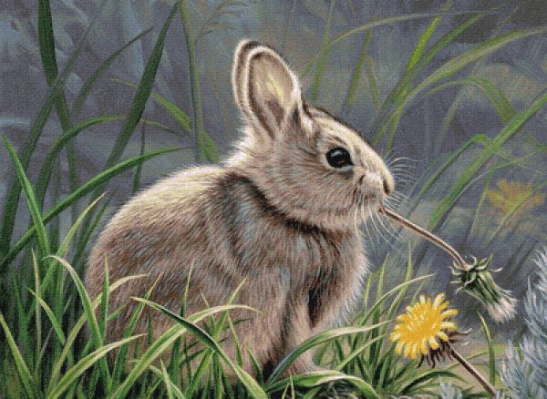 Милый Зайка карандашом