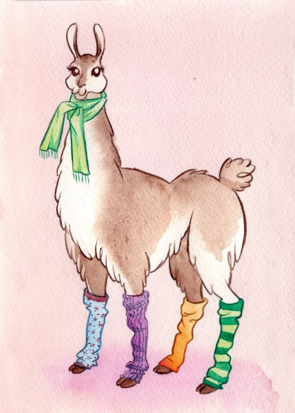 Лама иллюстрация