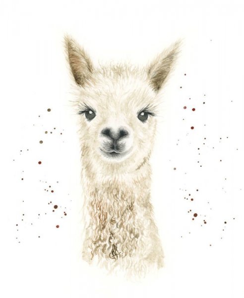 Ламы и альпаки арт