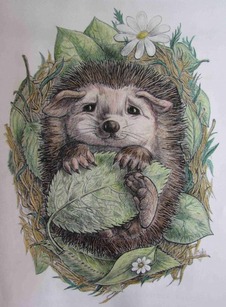 Нарисовать ежика