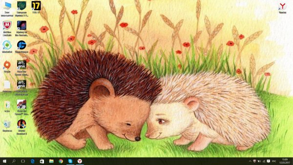 Ежики любовь