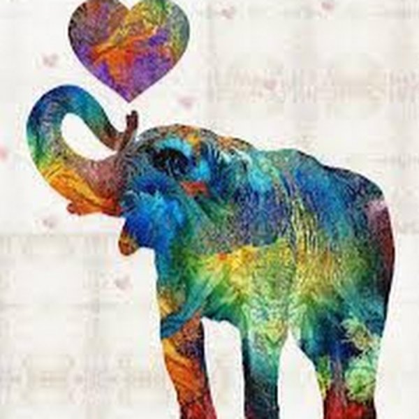 Разноцветный слон картина