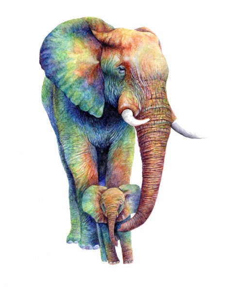 Разноцветный Слоник