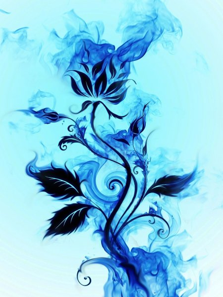 Синий Огненный цветок