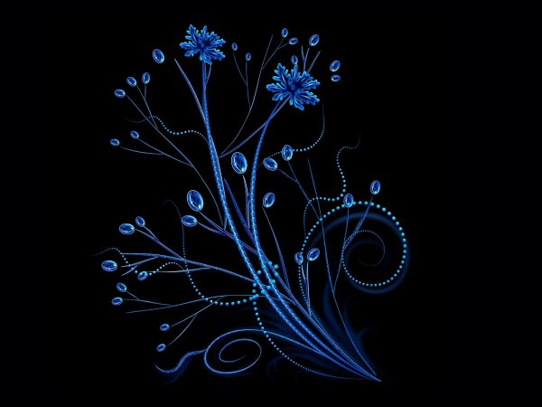 Цветочные орнаменты начерно фоне