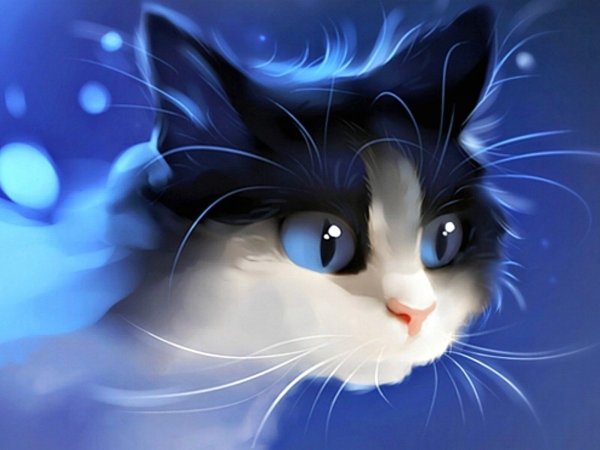 Котенок арт