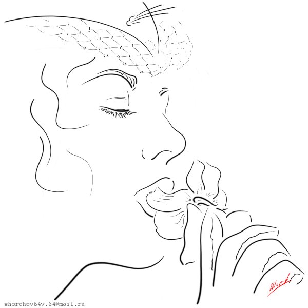 Владимир Шорохов Графика