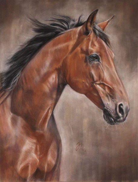 Портрет лошади