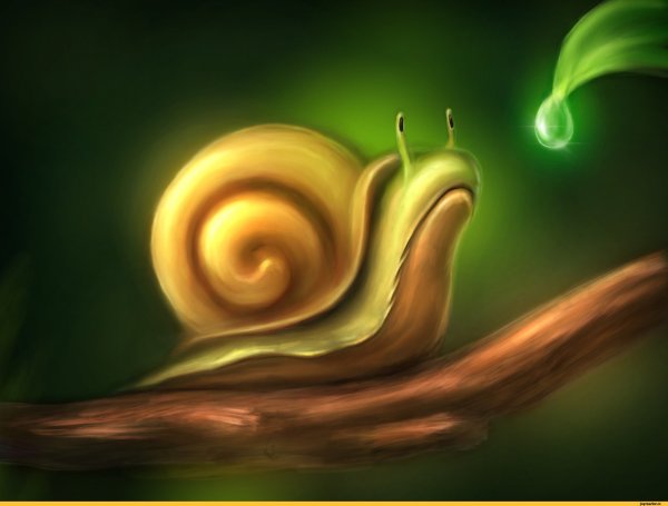 Улитка рисунок