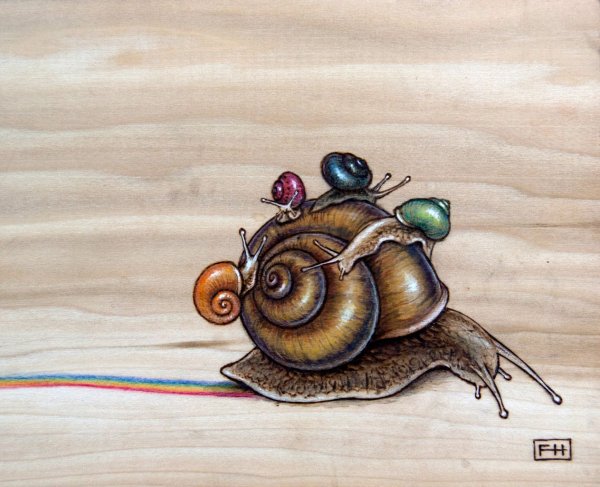 Улитка картина