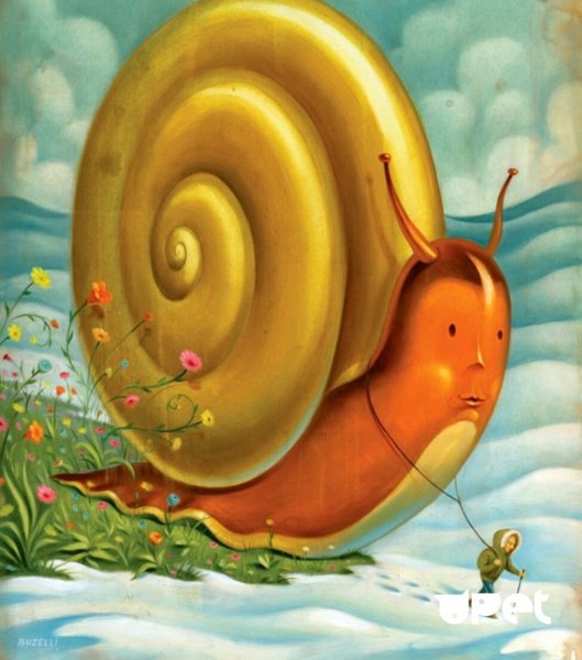 Улитка сюрреализм