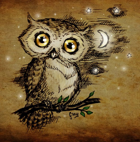 Сова иллюстрация