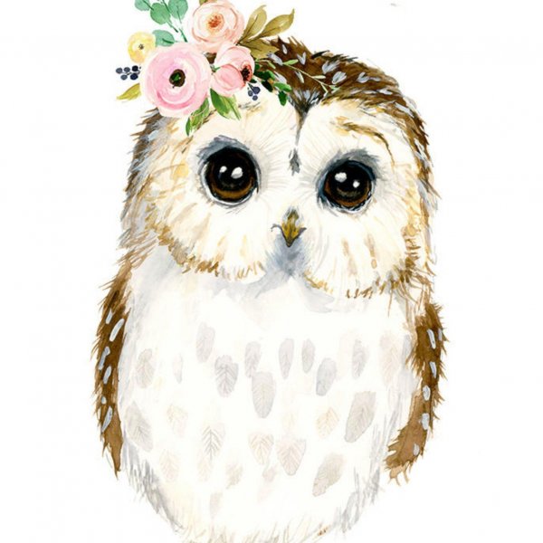 Милая Совушка