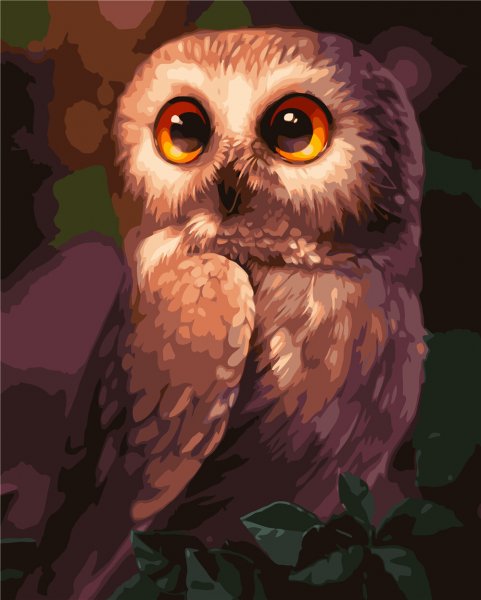 Красивые Совушки