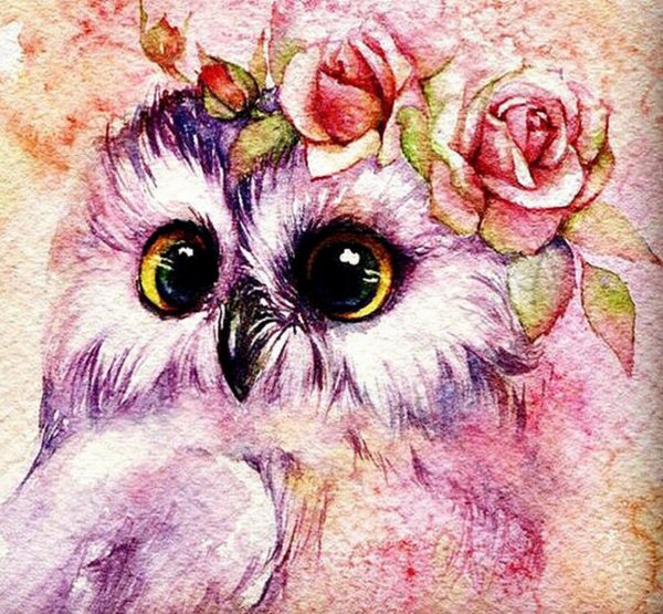 Chatkamol Chirawattana