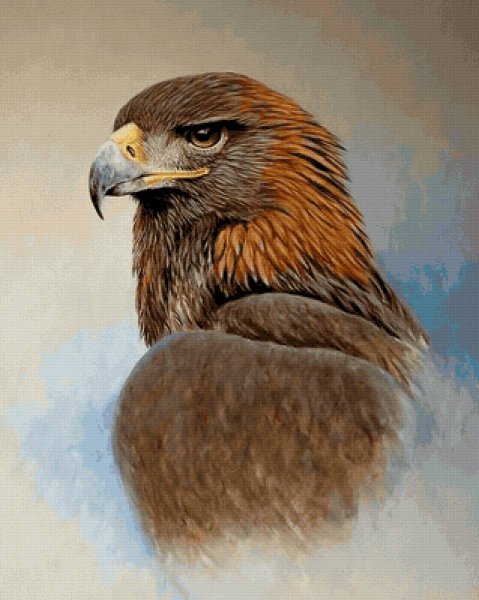 Ястреб Орел Беркут