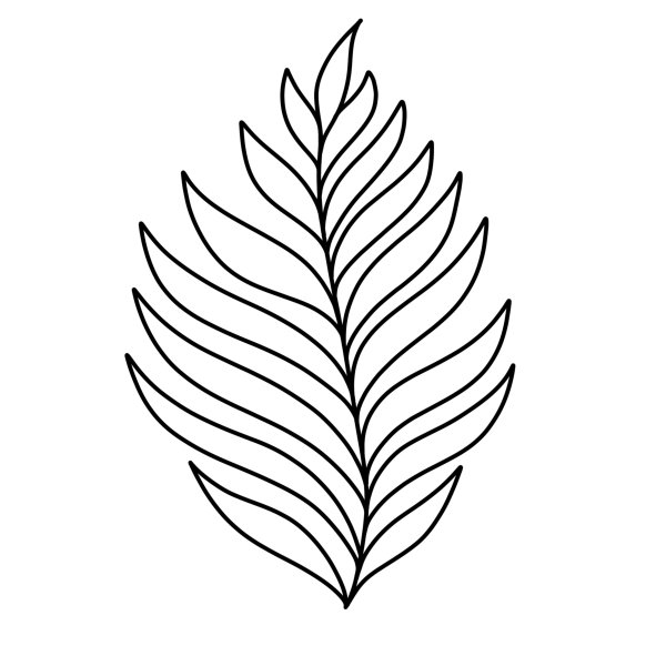 Красивые листочки черно белые