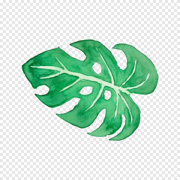 Тропические листья акварелью