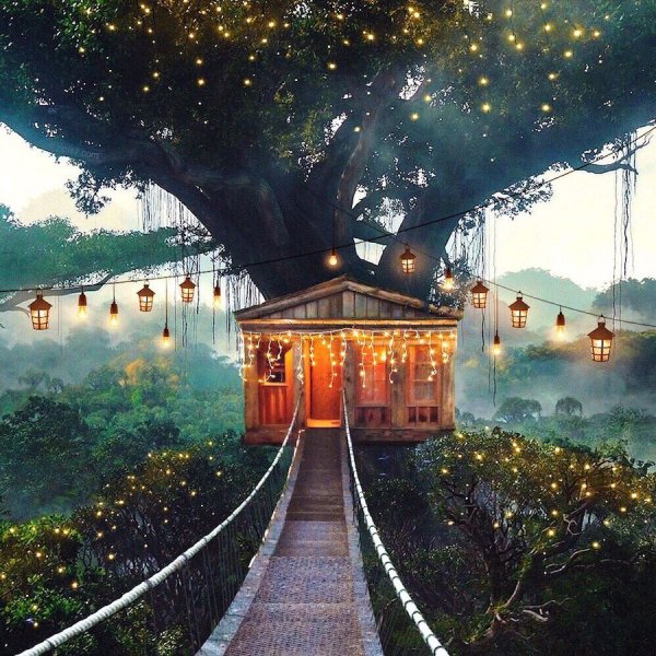 Роберт Янс (Robert Jahns)