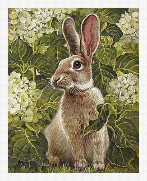 Яна Мовчан картины животных