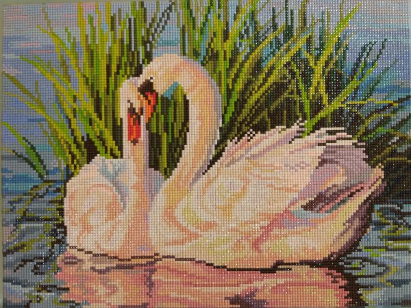 Алмазная мозаика 40х40