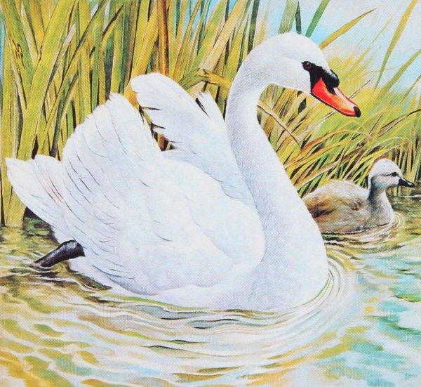 Лебеди живопись