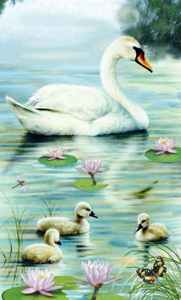 Картина лебеди с лебедятами