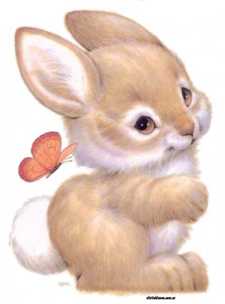 Милые зверушки иллюстрации