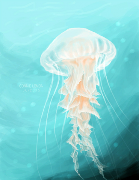 Медуза красками