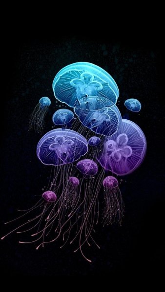 Медуза узор