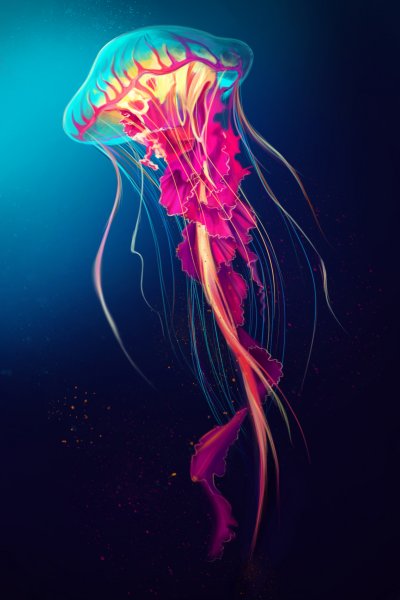 Медуза абстракция поп арт