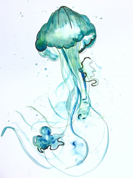 Jellyfish Art аквариумы