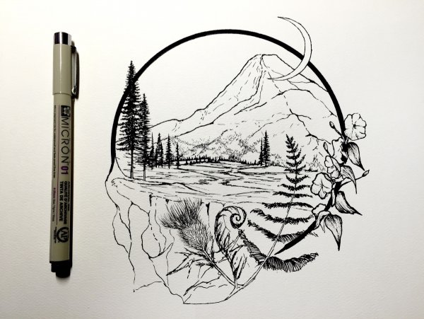 Эскизы природы